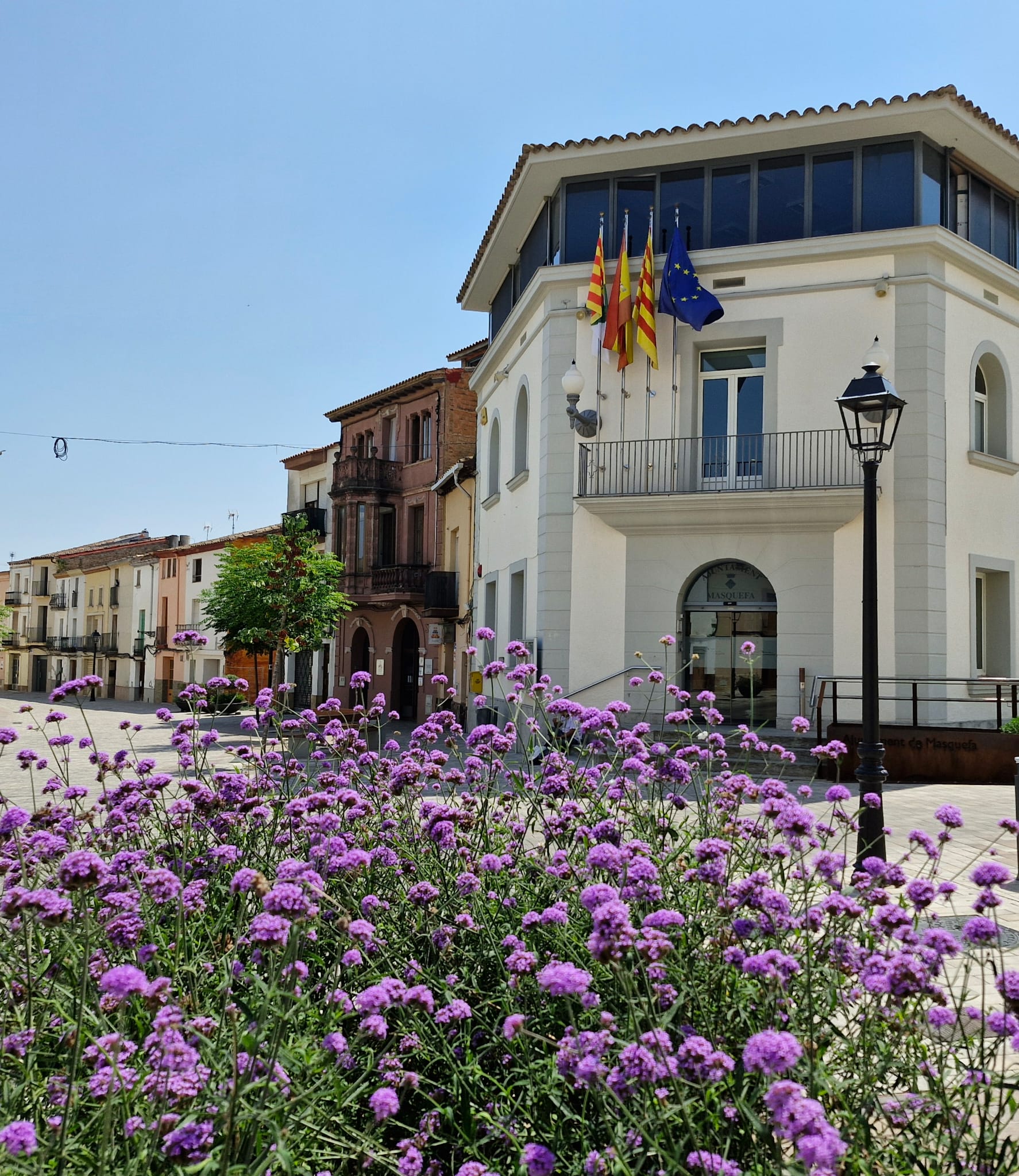 WhatsApp Image 2025-08-11 at 15.53.18