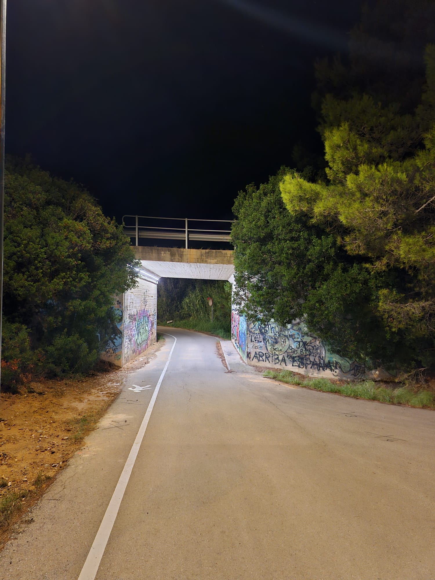 pont can valls 2